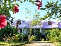 Aparthotel, Villa, Room for Rent at La Isleta in Las Galeras Dominican Republic.
